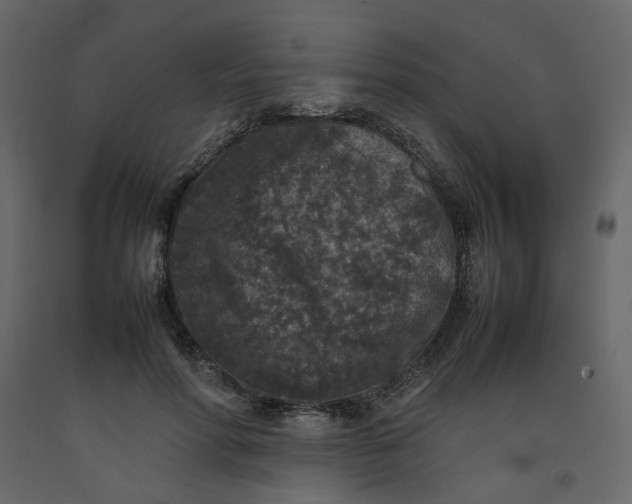 X0000092220598200710051200