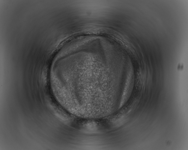 X0000092220600200710051200