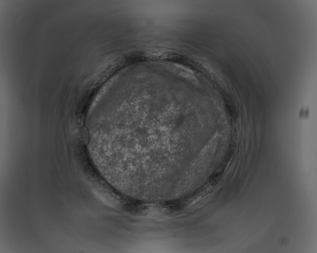 X0000092220601200710051200