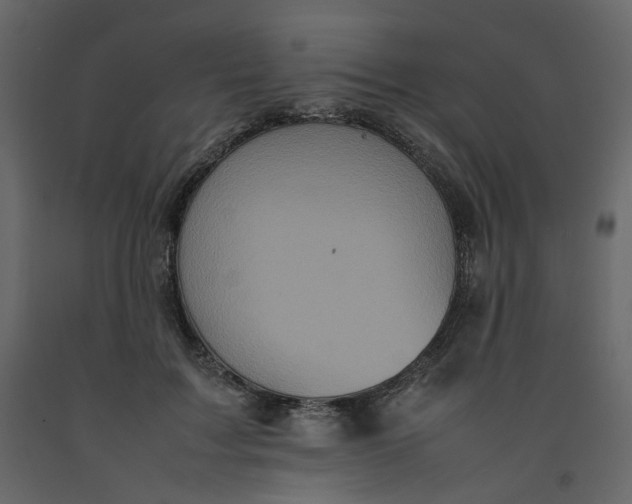 X0000092220603200710051200
