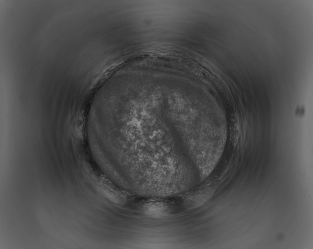 X0000092220604200710051200