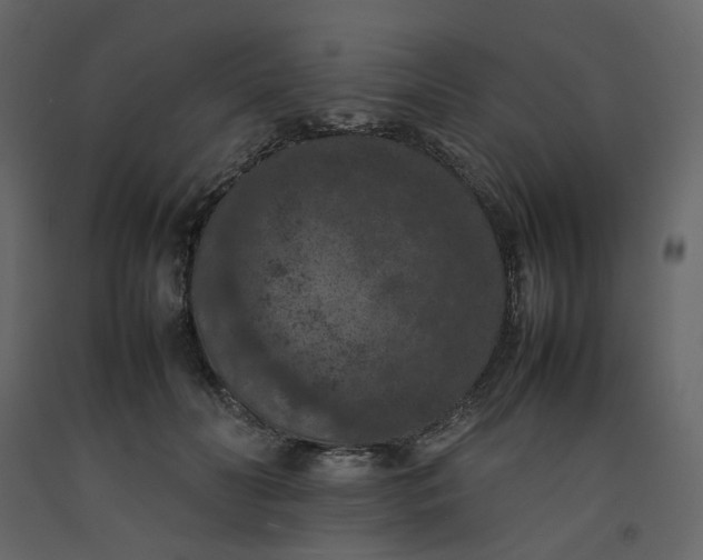 X0000092220606200710051200