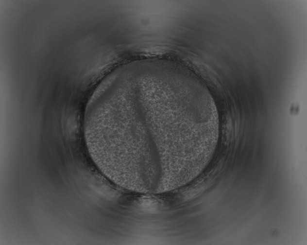 X0000092220608200710051200