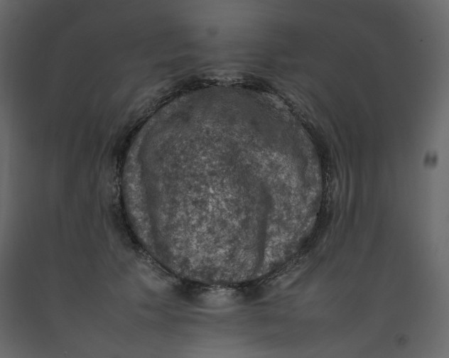 X0000092220609200710051200