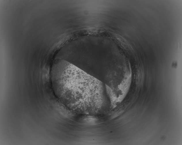 X0000092220610200710051200