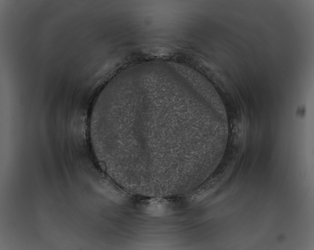 X0000092220612200710051200