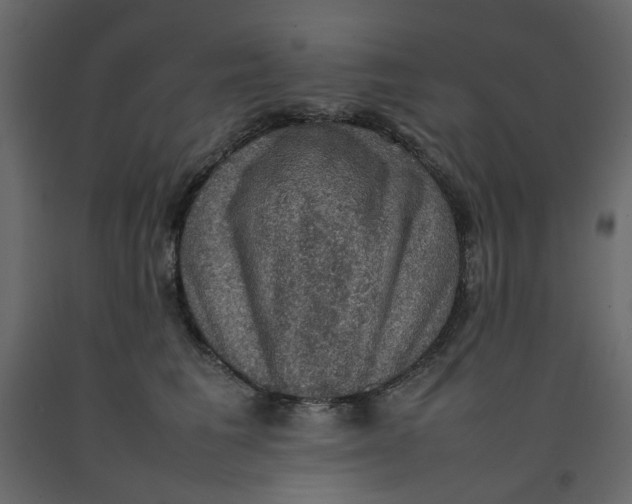 X0000092220613200710051200