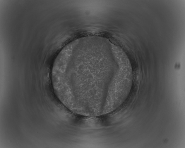 X0000092220615200710051200