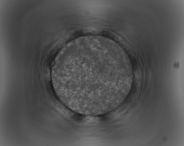 X0000092220617200710051200