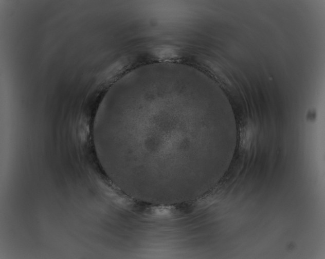 X0000092220618200710051200