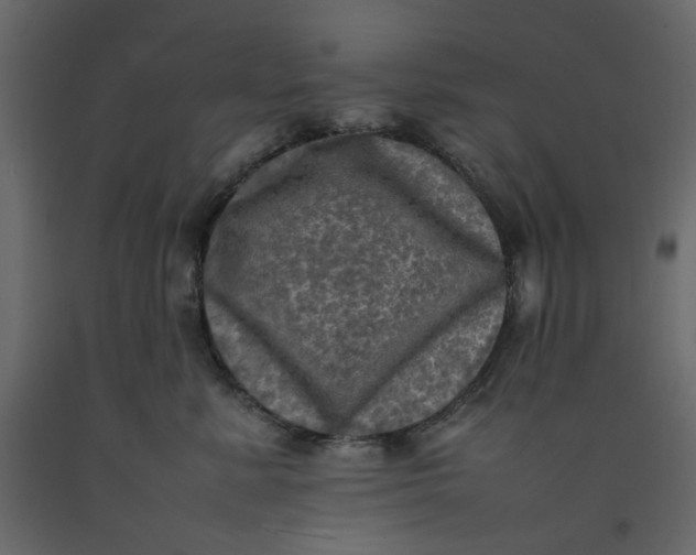 X0000092220619200710051200