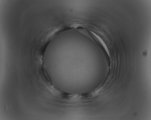 X0000092220621200710051200