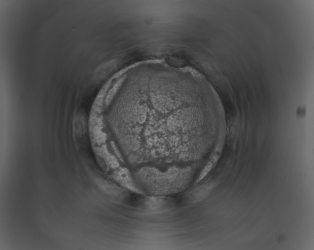X0000092220623200710051200