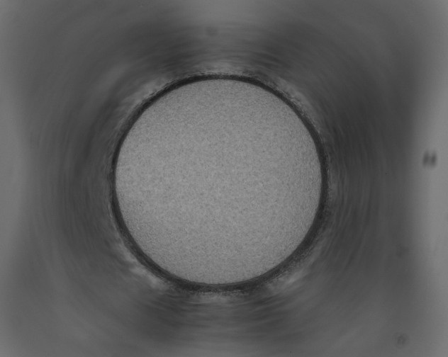X0000092220625200710051159