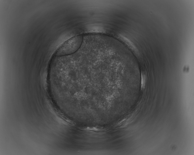 X0000092220627200710051159