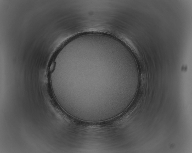 X0000092220628200710051159