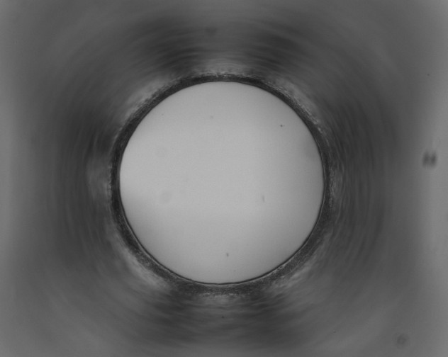 X0000092220629200710051159