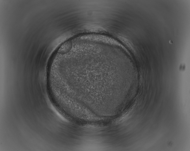 X0000092220630200710051159