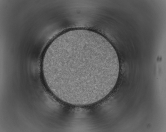 X0000092220632200710051159