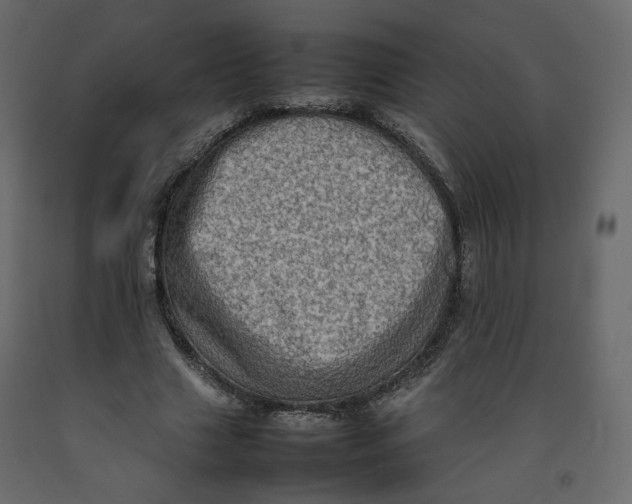 X0000092220633200710051159