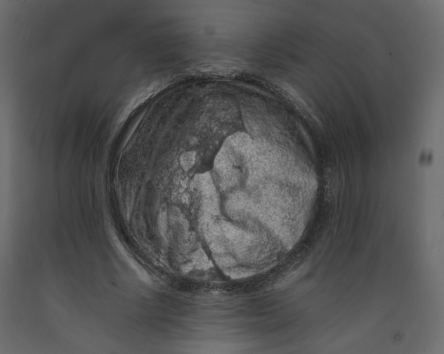 X0000092220634200710051159