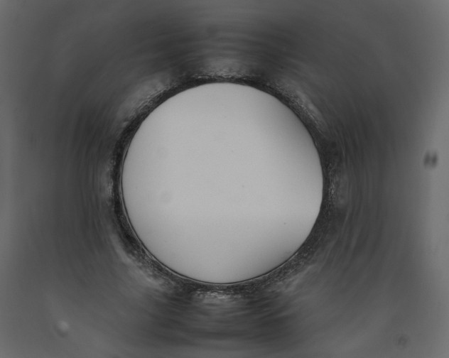 X0000092220635200710051159