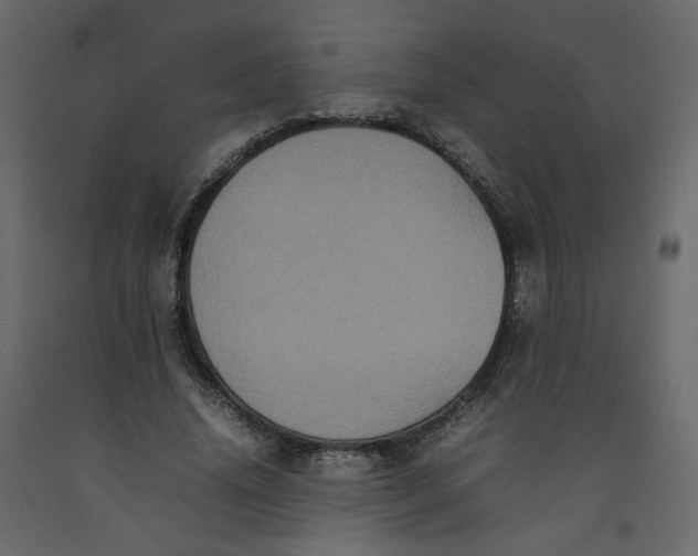 X0000092220636200710051159