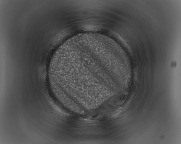 X0000092220637200710051159