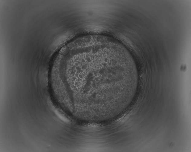 X0000092220638200710051159
