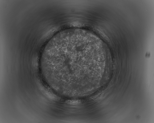 X0000092220639200710051159