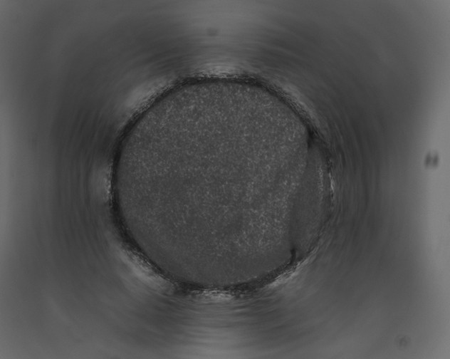 X0000092220640200710051159