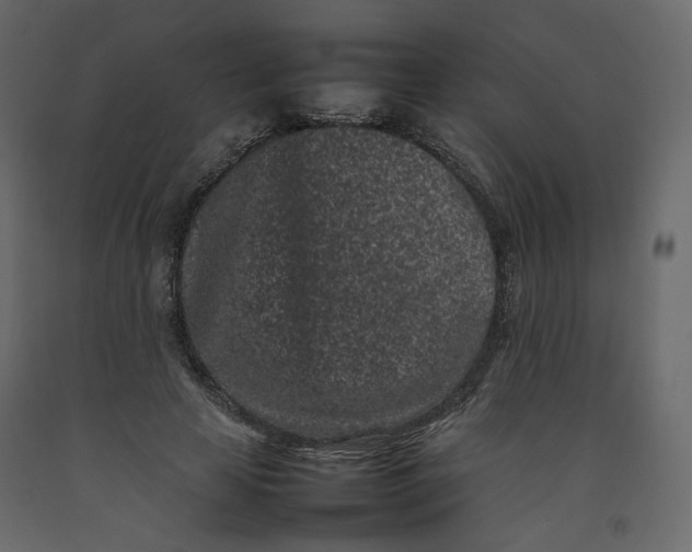X0000092220641200710051159