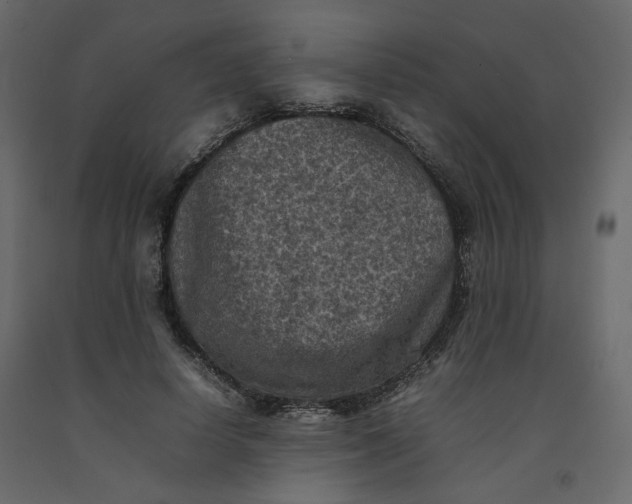 X0000092220642200710051159