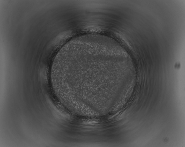 X0000092220643200710051159