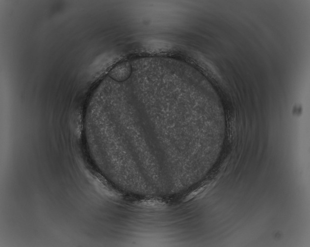 X0000092220644200710051159