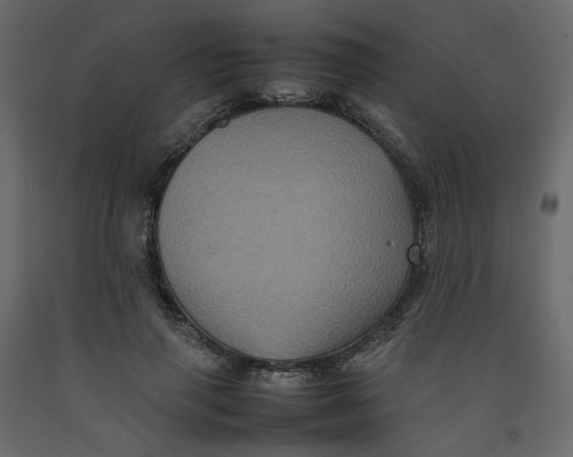X0000092220645200710051159