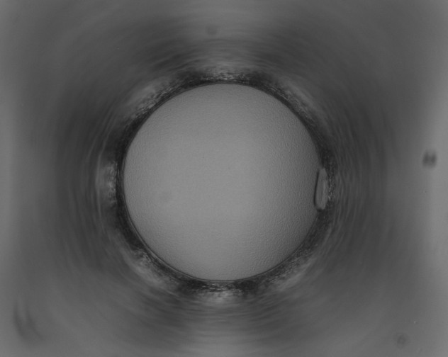 X0000092220646200710051159