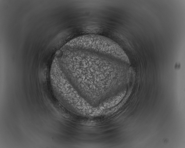 X0000092220647200710051159