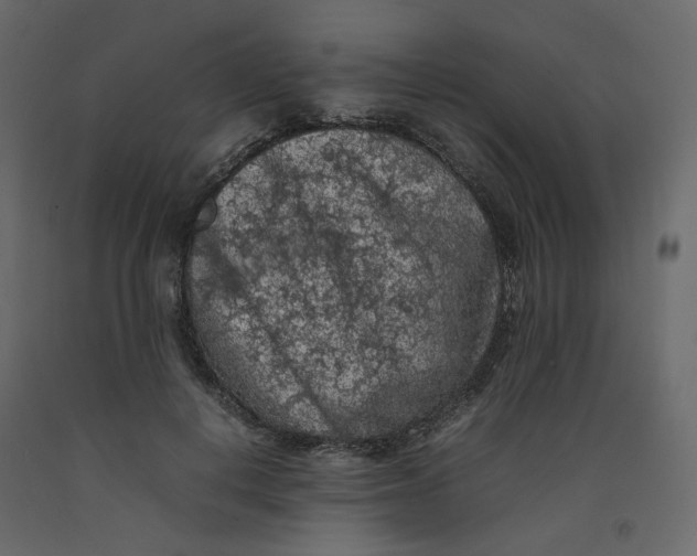 X0000092220648200710051159