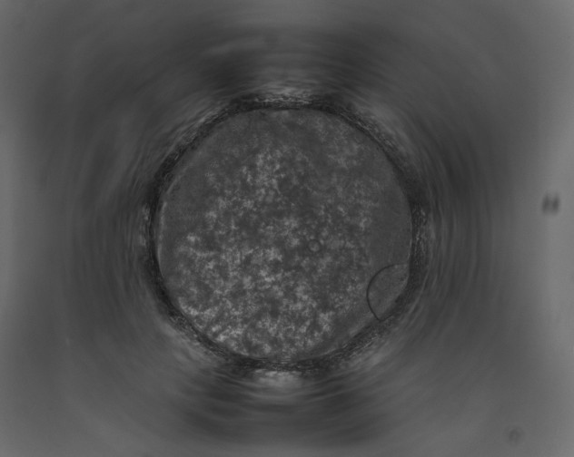 X0000092220649200710051159