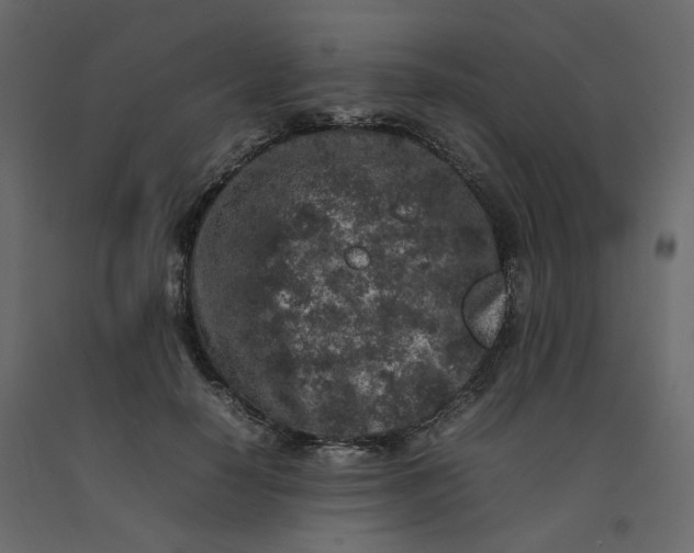 X0000092220650200710051159