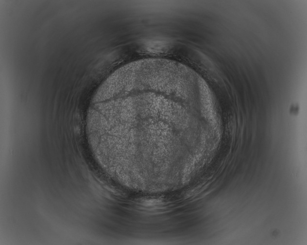 X0000092220651200710051159