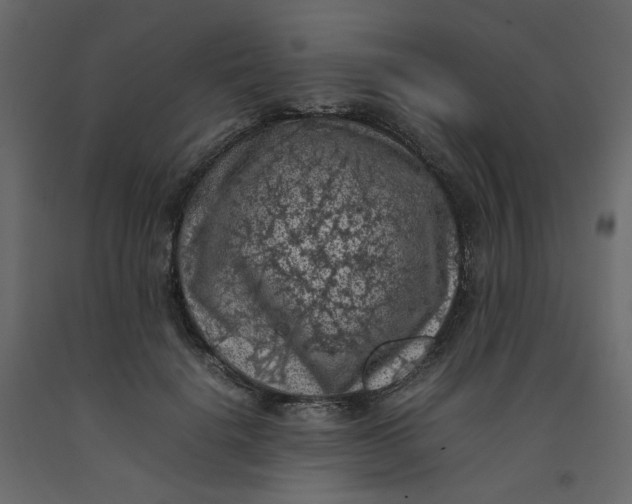 X0000092220652200710051159