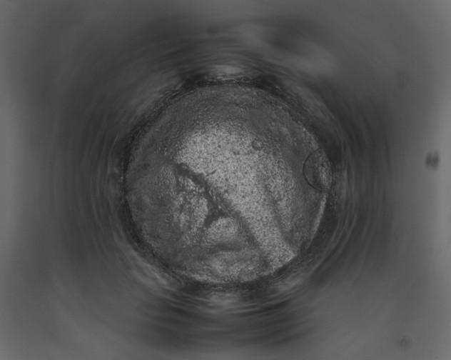 X0000092220653200710051159