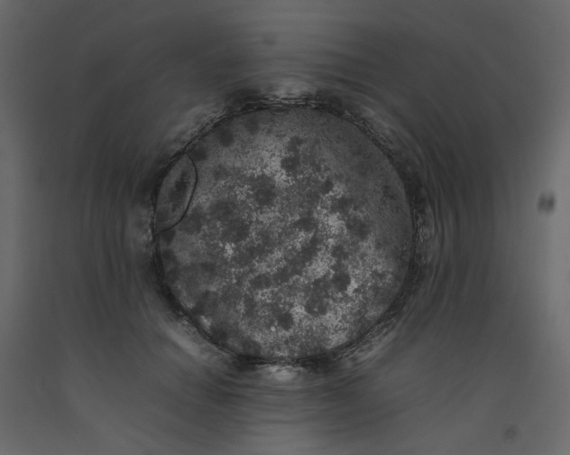 X0000092220654200710051159