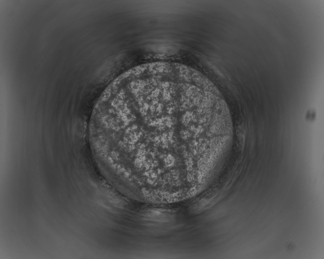 X0000092220657200710051159