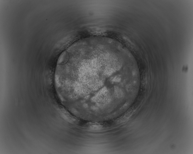X0000092220658200710051159