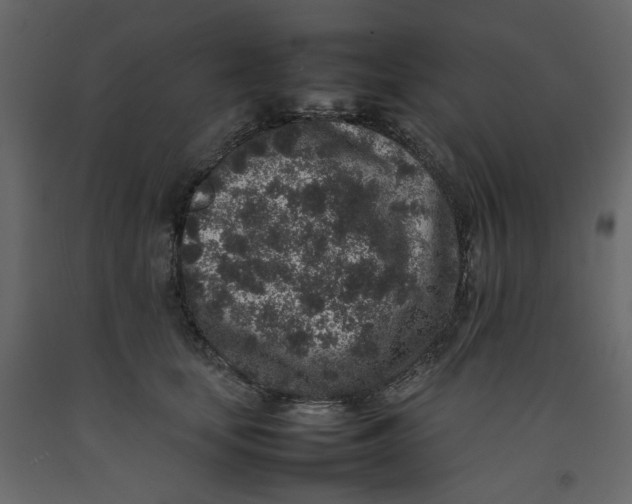 X0000092220659200710051159