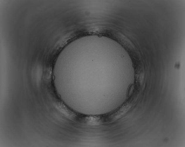 X0000092220660200710051159