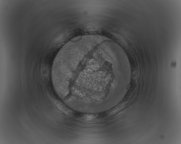 X0000092220662200710051159